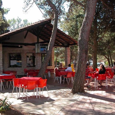 Camping Brioni بولا المظهر الخارجي الصورة